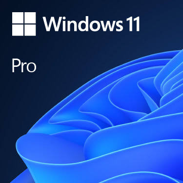 Microsoft Windows 11 Pro ,Digital License Main image